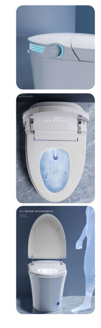 Foam Shield Built-In Water Tank Smart Toilet