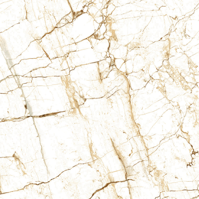 Golden Earth Full Polished Tile