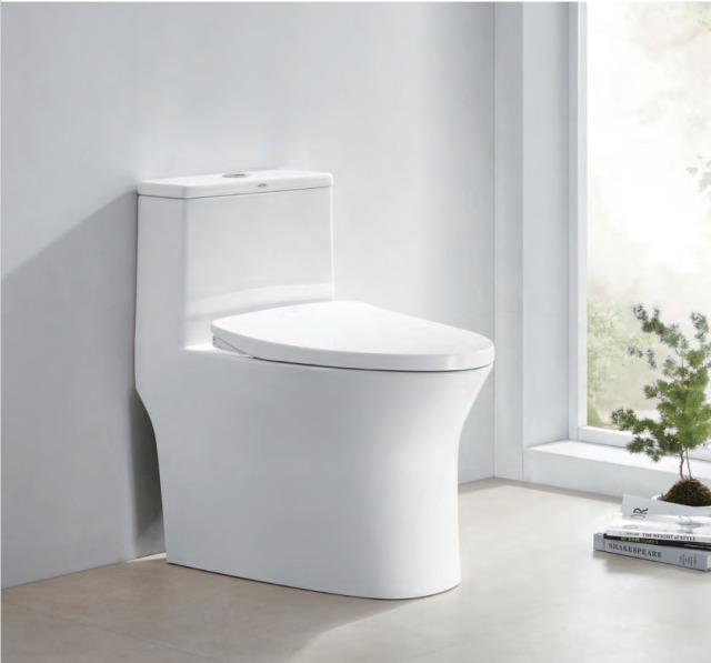 C11M Super Cyclone Water-Saving One-Piece Toilet