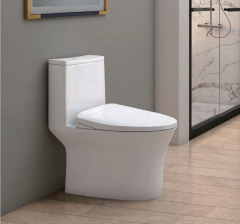 C9 PRO Super Cyclone Water-Saving One-Piece Toilet