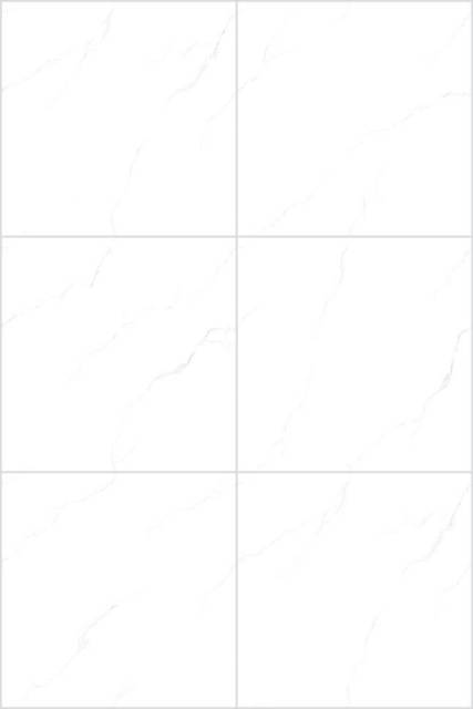 Snow White Full Polished Tile