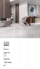 Snow White Full Polished Tile