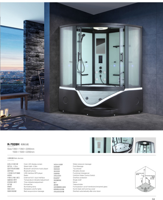 Curved Black Multi-Functional Steam Room