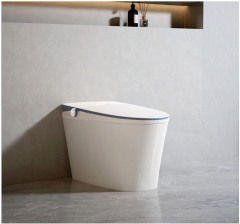 3D Comfort Wash Intelligent Toilet