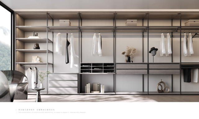 Light Gray Aluminum Wood Wardrobe