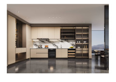 New Chinese Style Champagne Gold Wooden Kitchen Cabinet