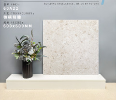 Light Apricot Terrazzo Rustic Tile