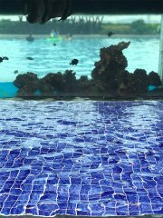 Royal blue Water Ripple Swimming Pool Mosaic Tile