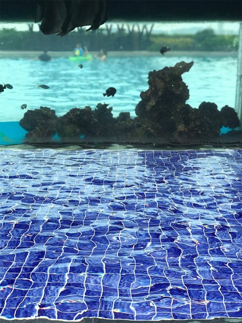 Royal blue Water Ripple Swimming Pool Mosaic Tile