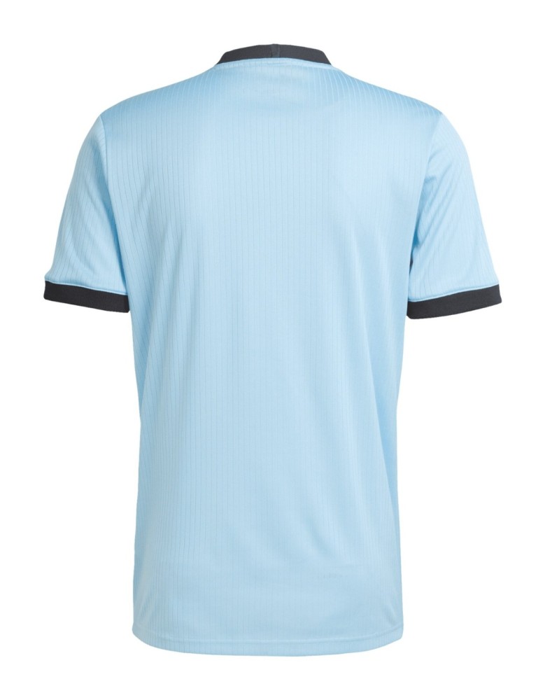 Adidas Germany 125th Anniversary Blue Goalkeeper Shirt Player Version 2025