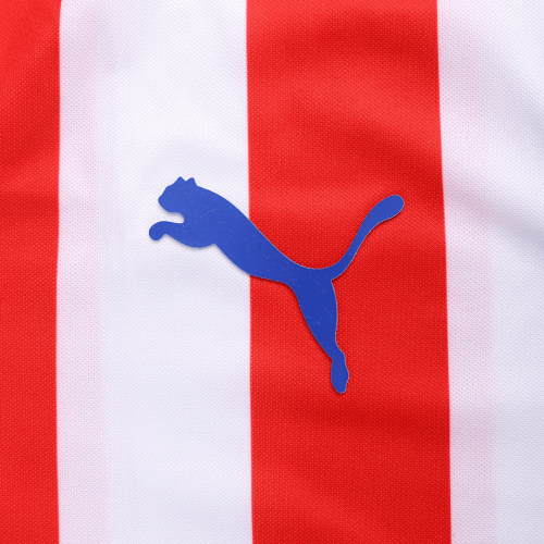 Chivas Guadalajara Retro Jersey Home 110-Yeas