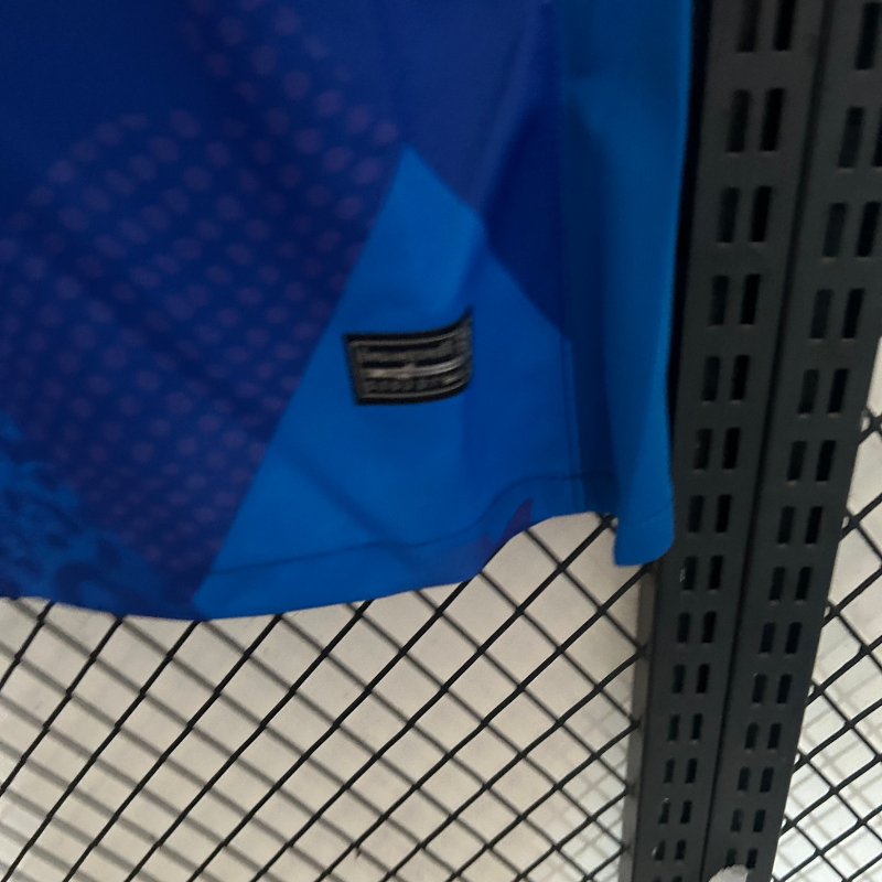 2025/2026  Away Fan Edition Football Shirt