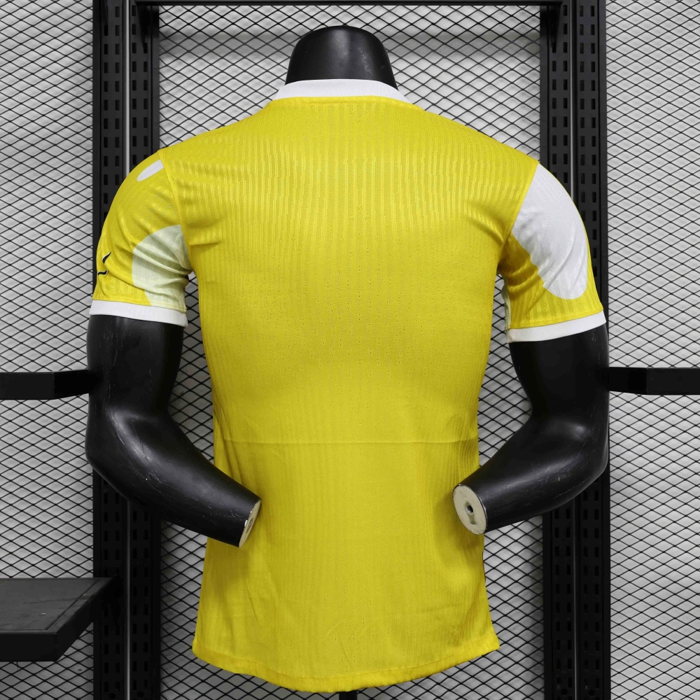24-25 Player Brazil City Special Edition Soccer Jersey