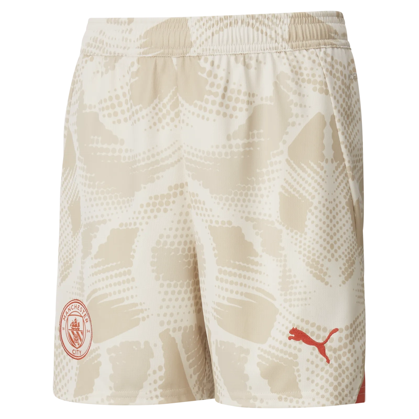 Manchester City Goolkeeper Football Shorts 24-25