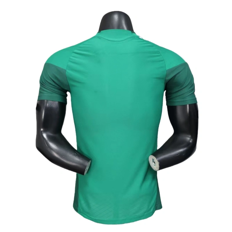 2026 Mexico Special Edition Training Uniform Football jersey Player edition