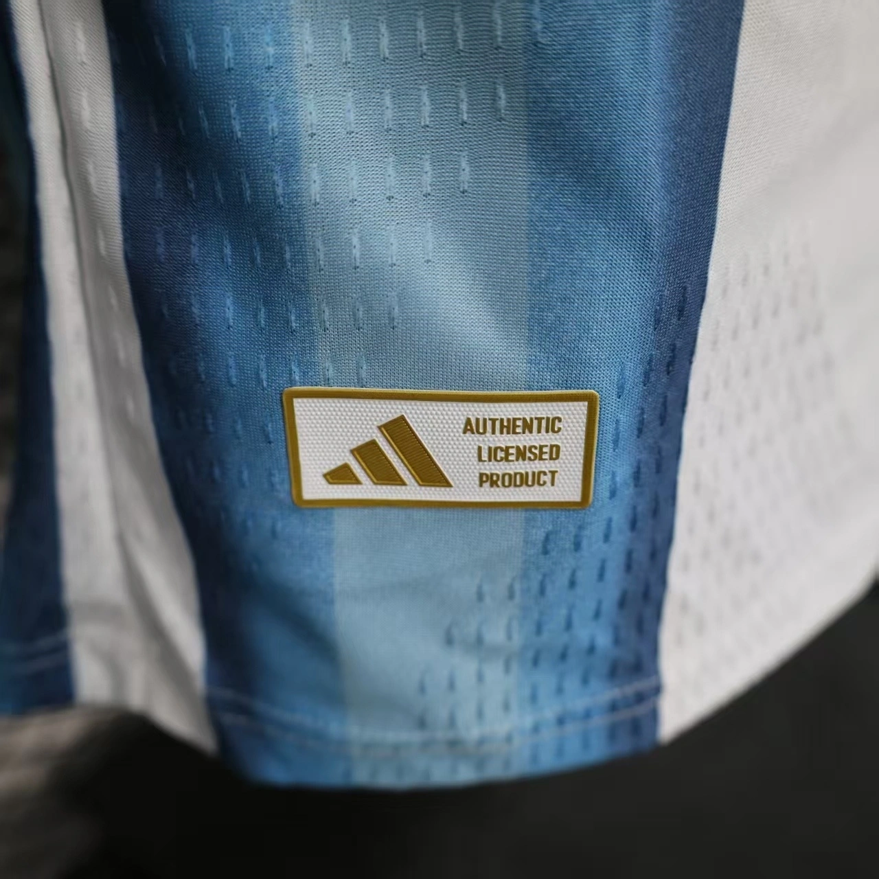 2026 Argentina World Cup Home Football jersey Player edition