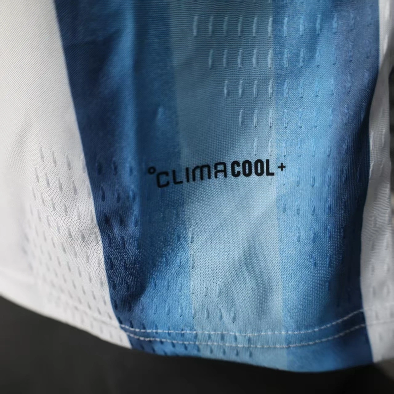 2026 Argentina World Cup Home Football jersey Player edition