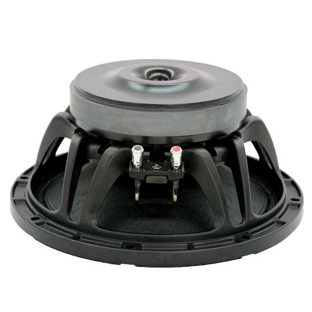 10 inch ferrite, mid bass speaker series SY10-15