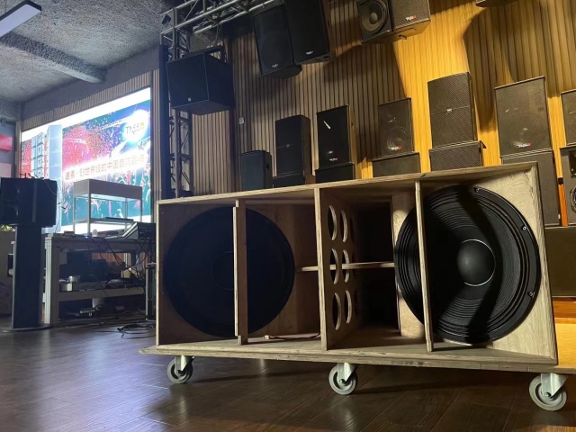 LB221 double 21" drivers, professional Subwoofer