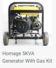 ZY International -Gasoline Generator