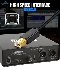 New arrive USB Audio Interface dual channel with high speed