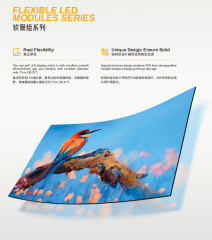 LED Display FLEXIBLE LED MODULES SERIES