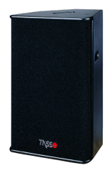 Professional Stage Monitor PS typical series