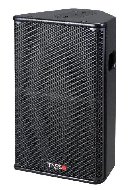 Professional Stage Monitor PS typical series