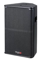 Professional Stage Monitor PS typical series