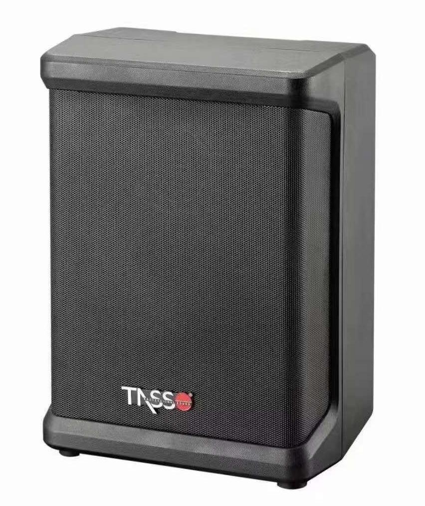 M6 6.5 inch Active Bluetooth speaker