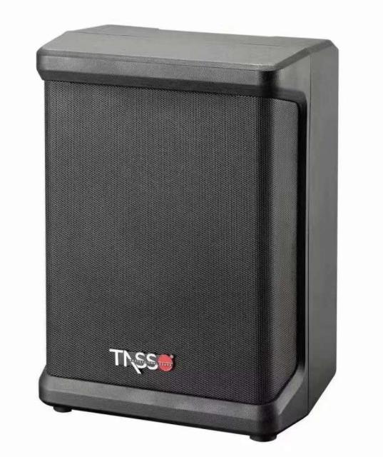 M6 6.5 inch Active Bluetooth speaker