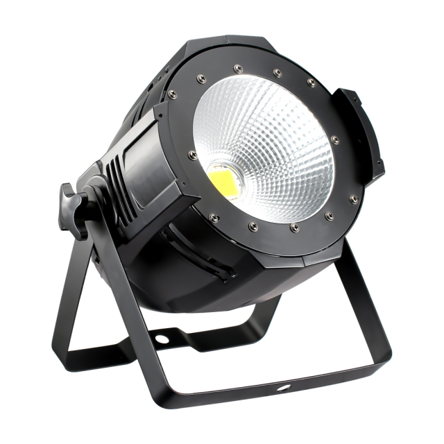 ETY-226 100W COB LED par can