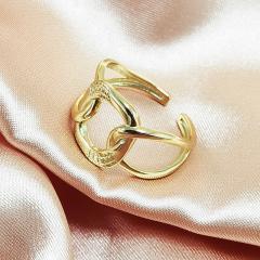 Chain link ring