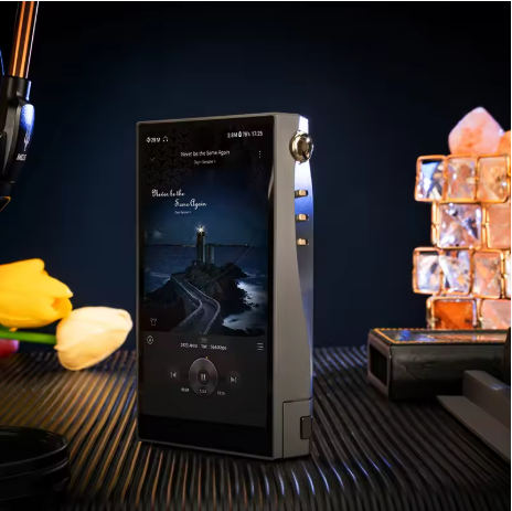 Cayin N6iii R202 Master Quality Digital Audio Player with Replaceable Audio Motherboard R2R 1Bit DAC