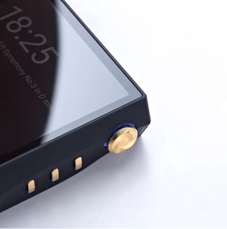 Cayin N6iii R202 Master Quality Digital Audio Player with Replaceable Audio Motherboard R2R 1Bit DAC