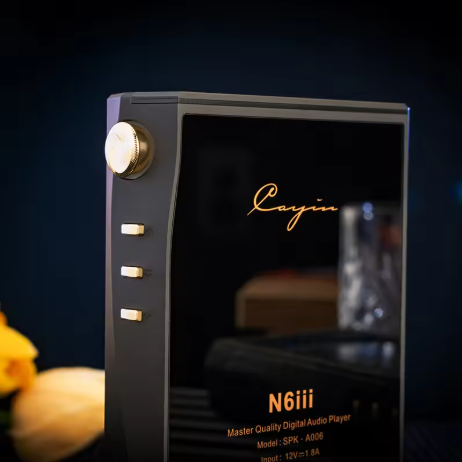 Cayin N6iii R202 Master Quality Digital Audio Player with Replaceable Audio Motherboard R2R 1Bit DAC