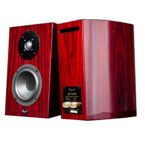 Cayin LYRE T30 MK2 Two Way Two Driver Bass Reflex Bookshelf High Fidelity Speaker System