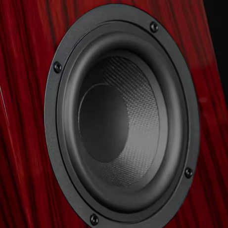 Cayin LYRE T30 MK2 Two Way Two Driver Bass Reflex Bookshelf High Fidelity Speaker System