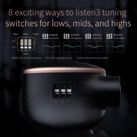 FiiO FH5s 2024 2BA+2DD in-Ear Earphones/Headphone HiFi Bass Sound High Fidelity for Smartphones/PC