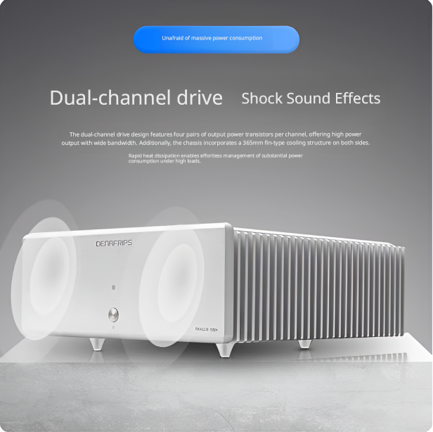 Denafraps THALLO 12TH fully balanced high-power back-end high-end amplifier