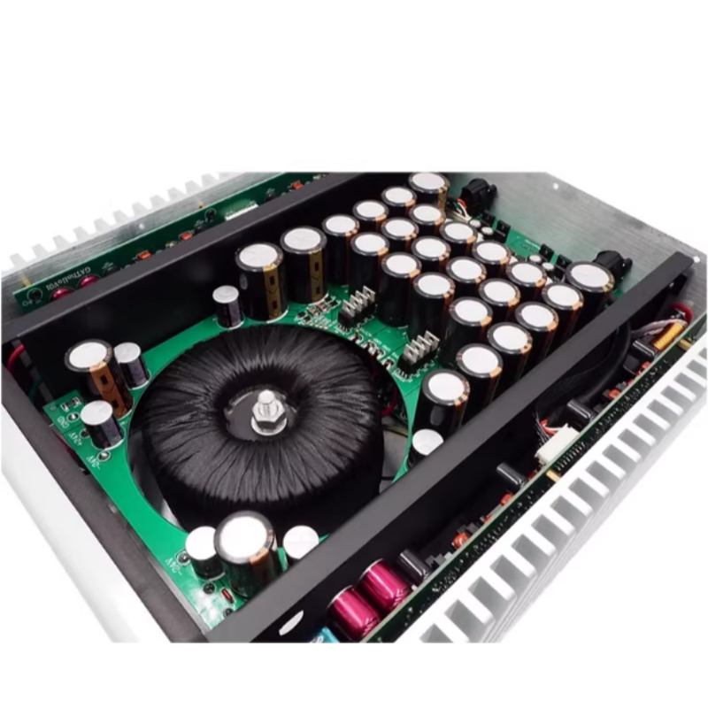 Denafraps THALLO 12TH fully balanced high-power back-end high-end amplifier