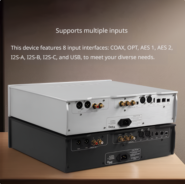 DENAFRIPS TERMINATOR 15TH R2R DAC Discrete Resistor R2R Full-balanced Decoder DSD1024 HDMI IIS I2S J45 USB Hi-end Power