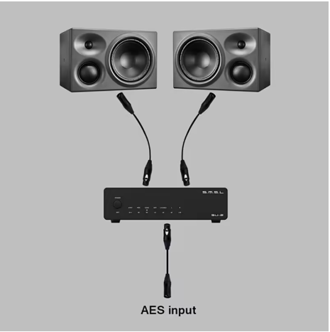 SMSL SU-2 Decoder ES9039Q2M Support AES/EBU input andXLR output DAC