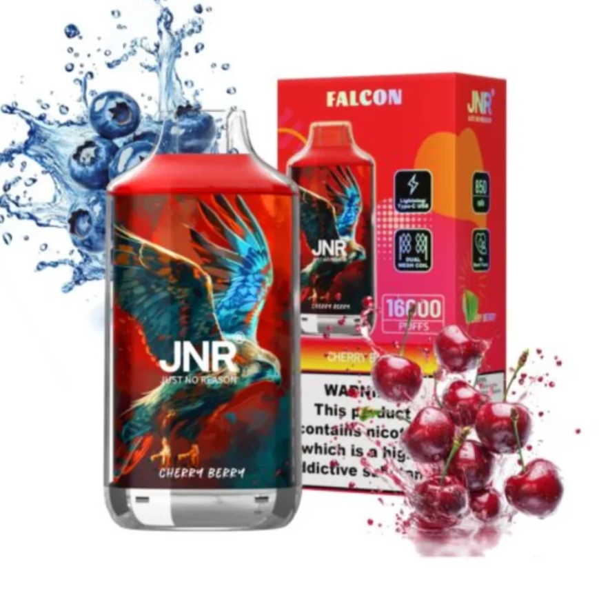 JNR Falcon 16000 Puffs Einweg Vape 22ml