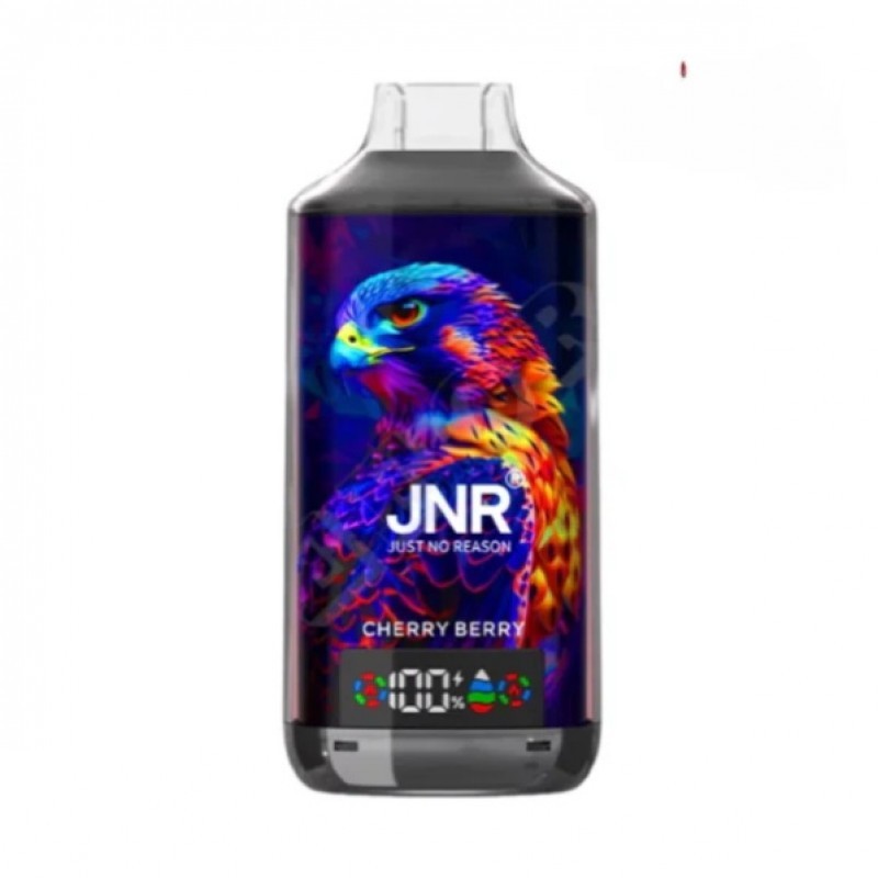 JNR Falcon X 18000 Puffs Einweg Vape 24ml