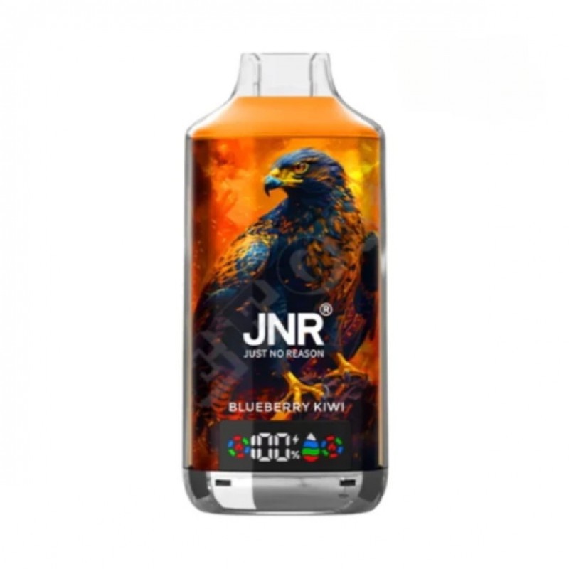 JNR Falcon X 18000 Puffs Einweg Vape 24ml