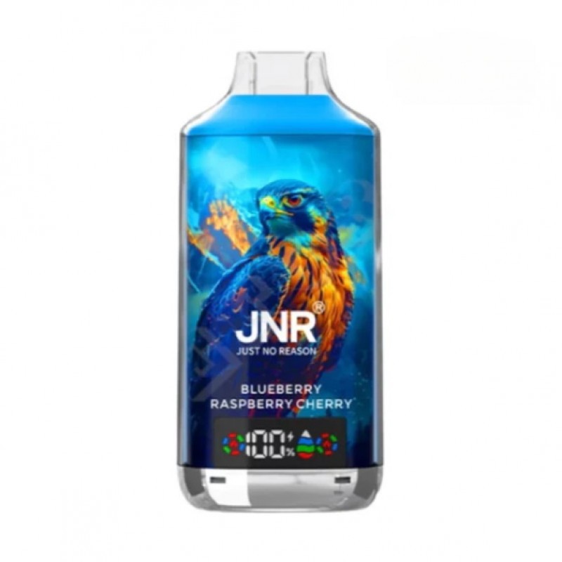 JNR Falcon X 18000 Puffs Einweg Vape 24ml