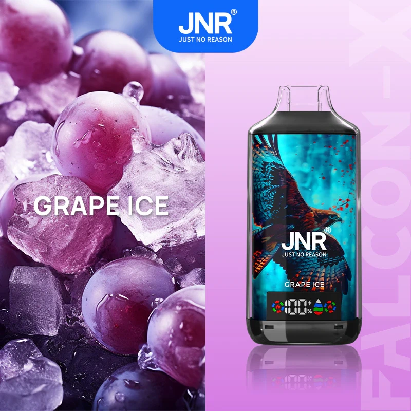 JNR Falcon X 18000 Puffs Einweg Vape (10 Stück/Box)