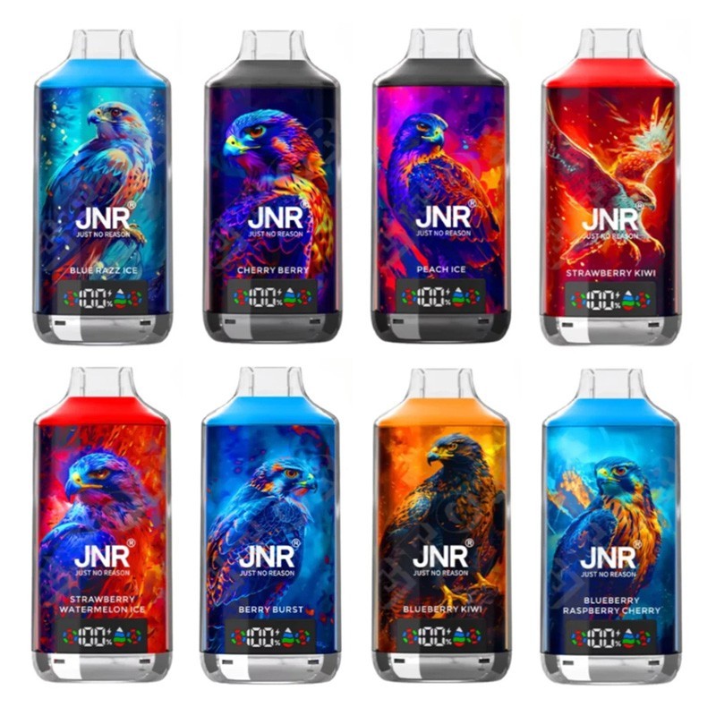 JNR Falcon X 18000 Puffs Einweg Vape 24ml