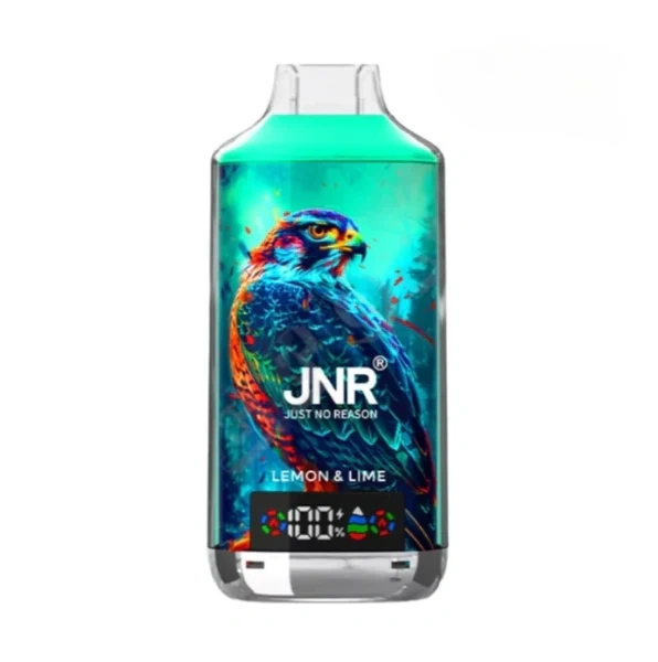 JNR Falcon X 18000 Puffs Einweg Vape 24ml